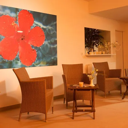 ويندهام غاردن لاهنستين كوبلنز 4* كوبلنس