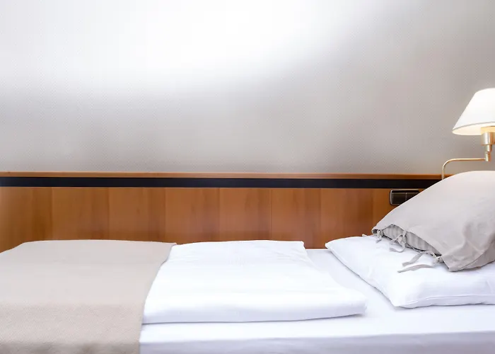 ويندهام غاردن لاهنستين كوبلنز فندق 4*