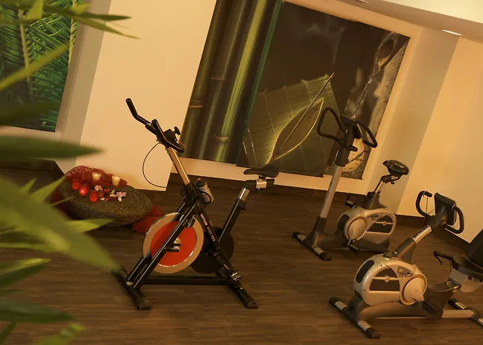 ويندهام غاردن لاهنستين كوبلنز كوبلنس