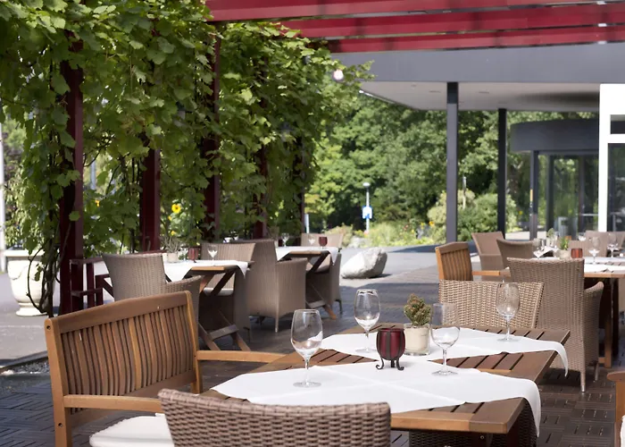 ويندهام غاردن لاهنستين كوبلنز 4* كوبلنس