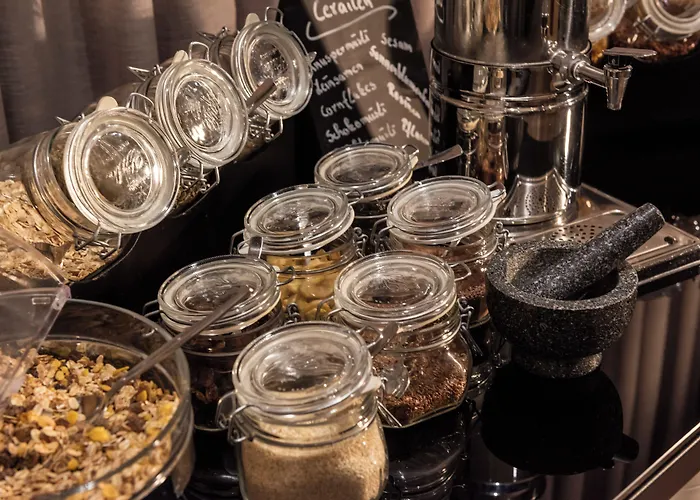 فندق ويندهام غاردن لاهنستين كوبلنز